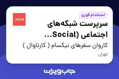  استخدام سرپرست شبکه‌های اجتماعی (Social Media) در کاروان سفرهای نیکسام ( کارناوال )