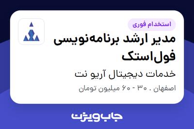 استخدام مدیر ارشد برنامه‌نویسی فول‌استک در خدمات دیجیتال آریو نت