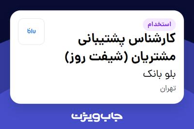  استخدام کارشناس پشتیبانی مشتریان (شیفت روز) در بلو بانک