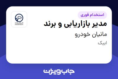  استخدام مدیر بازاریابی و برند در مانیان خودرو