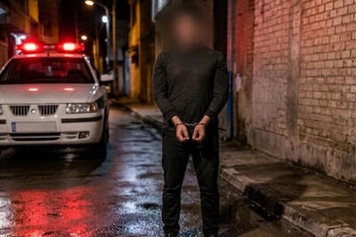  دستگیری سارق و کشف ۶ فقره انواع سرقت در شهرستان میانه