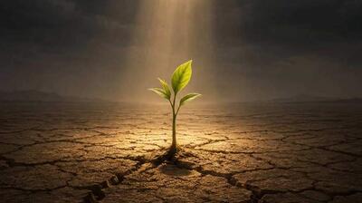  میگنا - اهمیت امید در مهارت‌های والدینی
