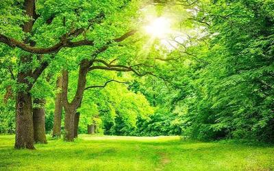  ۵ فایده مهم تابستان و گرمای آن برای بدن
