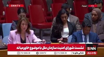  اظهارات خصمانه و دروغین نماینده آمریکا در شورای امنیت سازمان ملل: هدف پرواز امروز ایران به صنعا، انتقال کارشناسان پهپاد و موشک به یمن بود