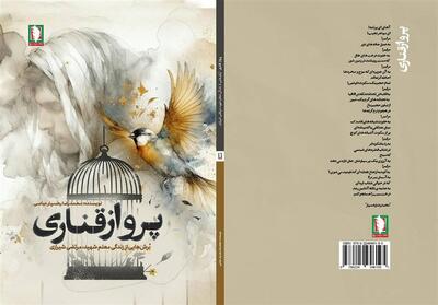  «پرواز قناری»؛ روایت بازگشت یک شهید بعد از 9 سال - تسنیم