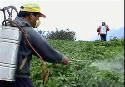  کنترل بیولوژیک آفات در 2350 هکتار از مزارع بروجرد - تسنیم