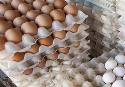  کشف 5000 شانه تخم‌مرغ فاقد مجوز و غیربهداشتی در کرج - تسنیم