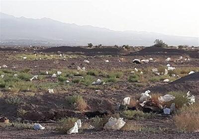  پلاستیک‌های سرگردان در ورودی بیرجند؛ زنگ خطر برای شهر پاک کویر - تسنیم