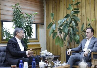  رایزنی با صندوق ضمانت صادرات برای تأمین مالی پروژه‌های لرستان - تسنیم
