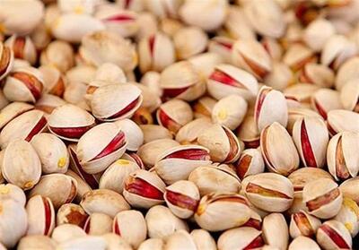  ضرورت توسعه علمی باغات پسته مرند - تسنیم