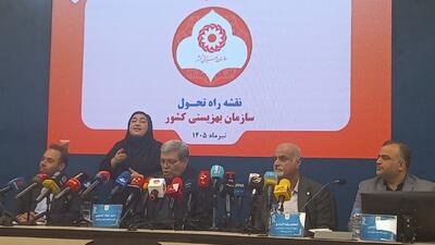  افتتاح بیش از  ۱۱ هزار پروژه در هفته بهزیستی