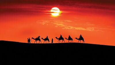  کاروان فاتحان، نه کاروان اسرا