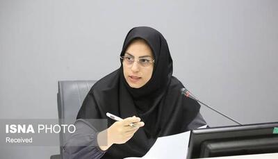  اجرای طرح محله‌محوری در زنجان نیازمند همکاری بیشتر دستگاه‌هاست