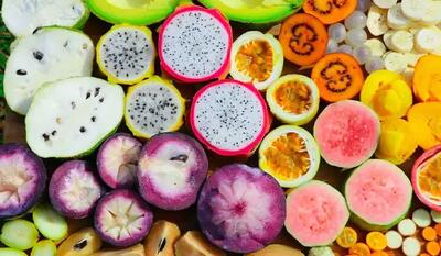  برای افزایش طول عمر این ۹ میوه را حتما بخورید