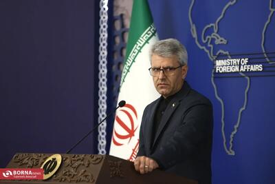 بقائی: حمله آمریکا به پست محیطبانی در هرمزگان جنایت جنگی است