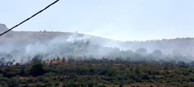 آتشسوزی 10 هکتار از باغات و مراتع روستای اسبمرد قزوین را نابود کرد