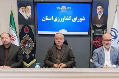  استاندار خراسان جنوبی: حمایت از کشاورزان با مدیریت مصرف آب پیگیری می‌شود