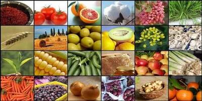 تولید طعمدهندههای نانویی با قابلیت افزایش کیفیت و ماندگاری مواد غذایی