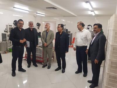 دبیر کمیسیون مبارزه با قاچاق کالا فارس: توزیع تولیدات داخلی باید تسهیل شود