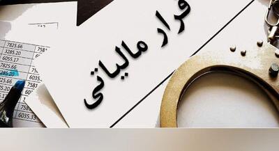 کشف ۳۵۸ میلیارد تومان فرار مالیاتی در جنوب شرق کشور | جهان نیوز