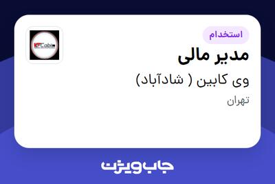  استخدام مدیر مالی - آقا در وی کابین ( شادآباد)
