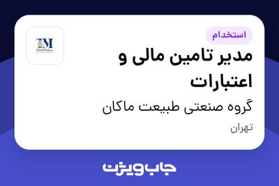  استخدام مدیر تامین مالی و اعتبارات در گروه صنعتی طبیعت ماکان