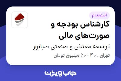  استخدام کارشناس بودجه و صورت‌های مالی در توسعه معدنی و صنعتی صبانور