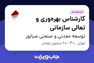  استخدام کارشناس بهره‌وری و تعالی سازمانی در توسعه معدنی و صنعتی صبانور