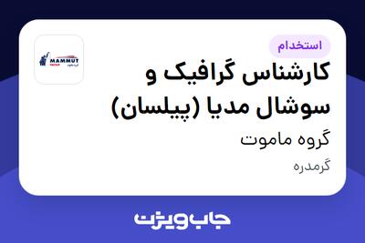  استخدام کارشناس گرافیک و سوشال مدیا (پیلسان) در گروه ماموت