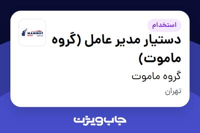  استخدام دستیار مدیر عامل (گروه ماموت) در گروه ماموت