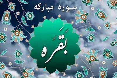  ببینید| دعاهای حضرت ابراهیم(ع)؛ الگوی درخواست عابد از معبود