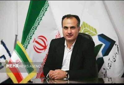  کیا: ساماندهی سگ‌های بلاصاحب نیازمند تعامل بین دستگاهی است