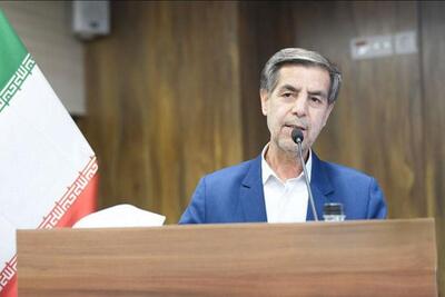  صدیقی: استیفای حقوق مالباختگان شرکت‌های وارداتی باید تسریع شود