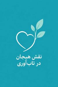  میگنا - نقش مدیریت هیجان در تاب‌آوری یا resiliency