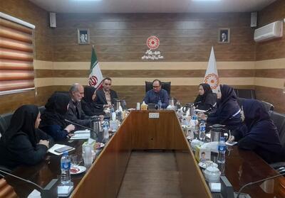  غربالگری سلامت روان در استان سمنان؛ مسیردرمان برای 380 فردپرخطرهموارشد - تسنیم