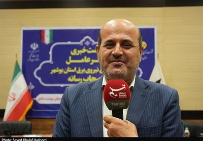 15 درصد مشترکان خانگی استان بوشهر 40 درصد برق را مصرف میکنند - تسنیم