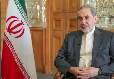  ولایتی: طرح تقسیم مسیر تنگه هرمز چوب حراج به سرمایه ملی است - تسنیم