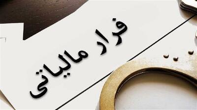 کشف فرار مالیاتی ۲۱ تبعه خارجی فاقد پرونده در ایران