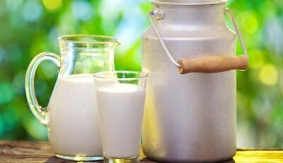 ناگفتههایی از ماندگاری شیرهای پاکتی؛ هشدار متخصص تغذیه
