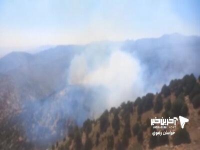 آتشسوزی مجدد در ارتفاعات هزارمسجد
