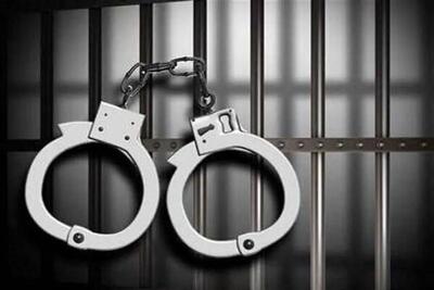 دو عامل انتشار تصاویر شخصی دختران لرستانی