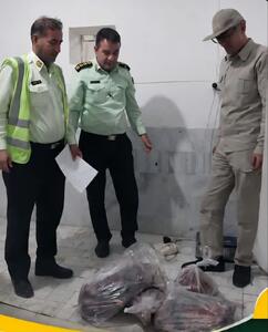  انهدام باند شکارچیان غیرمجاز در طبس