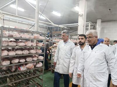  معاون استاندار: گره‌های زنجیره تولید مرغ گلستان بدون وقفه باز می‌شود