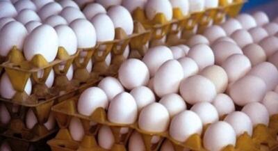 در بازار تخم مرغ چه میگذرد؟ | جهان نیوز
