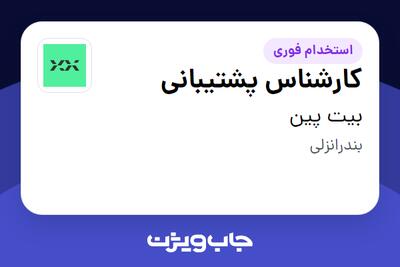 استخدام کارشناس پشتیبانی در بیت پین