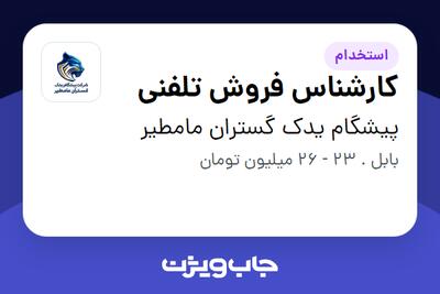 استخدام کارشناس فروش تلفنی - خانم در پیشگام یدک گستران مامطیر