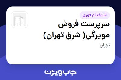  استخدام سرپرست فروش مویرگی( شرق تهران) در سازمانی فعال در حوزه کالاهای مصرفی و تند گردش