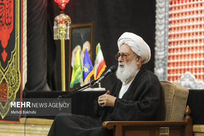 نظریمنفرد: شهادت رهبر شهید کرامتی الهی و مایه بیداری امت اسلامی است