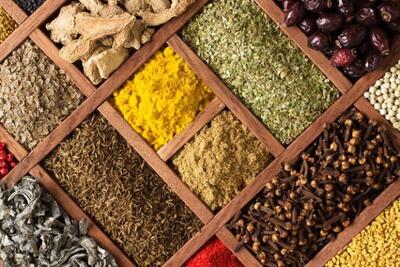 خانهداری| نگهداری اصولی مواد غذایی، سلامت دستگاه گوارش را تضمین میکند