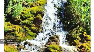 صدای آب، سکوت کوهستان؛ روایتی از بکرترین آبشار کوهرنگ + تصاویر و فیلم